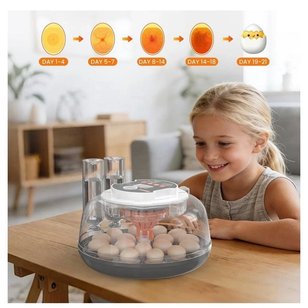 The Unbranded Brand 18 egg